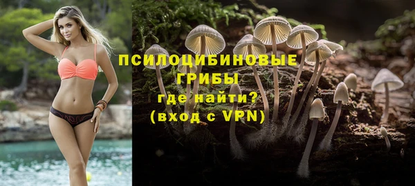 ECSTASY Струнино