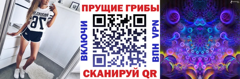 купить наркотики сайты  Вытегра  Галлюциногенные грибы прущие грибы 